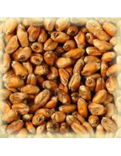 Brasser sa propre bière : Malt Froment Munich 25 EBC - MFMUN25S25