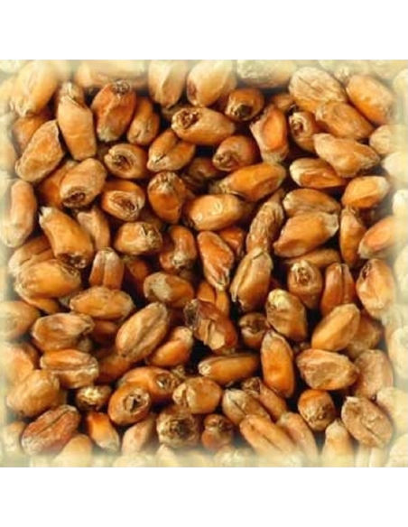 Brasser sa propre bière : Malt Froment Munich 25 EBC - MFMUN25S25