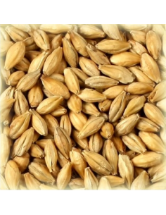 Brasser sa propre bière : Malt Distilling 2.5-3.7 EBC - MDISTS25