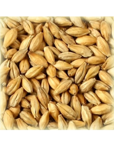 Brasser sa propre bière : Malt Distilling 2.5-3.7 EBC - MDISTS25