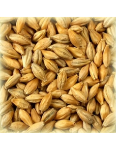Brasser sa propre bière : Malt Tourbé 4.0 EBC - MTRBS2V