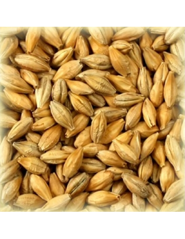 Brasser sa propre bière : Malt Tourbé 4.0 EBC - MTRBS2V