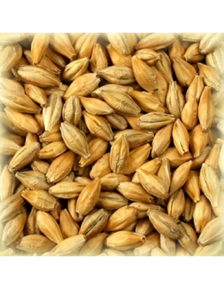 Brasser sa propre bière : Malt Tourbé 4.0 EBC - MTRBS2V