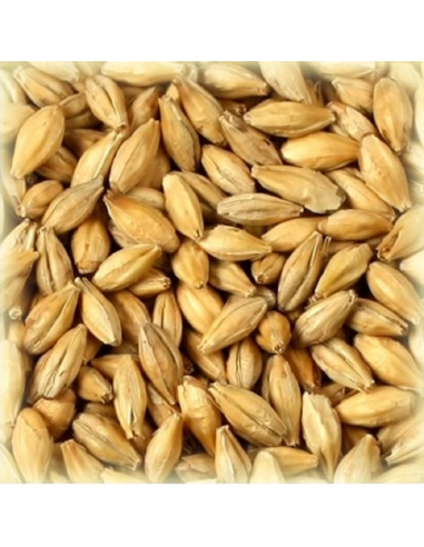 Brasser sa propre bière : Malt Whisky 2.5-4.5 EBC - MTRB35S2