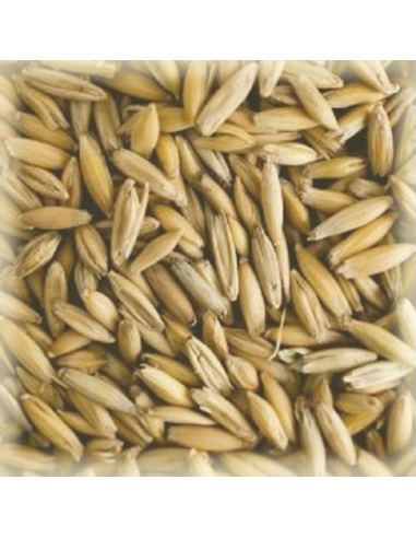Brasser sa propre bière : Malt Avoine (Oat) 2-3 EBC - MAVOINES25