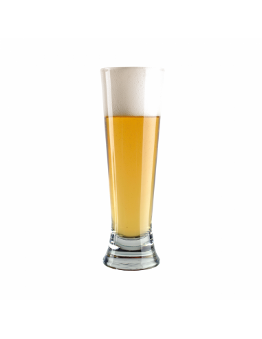 Brasser sa propre bière : Kit à bière BREWFERM Premium Pilsner - 056.083.9