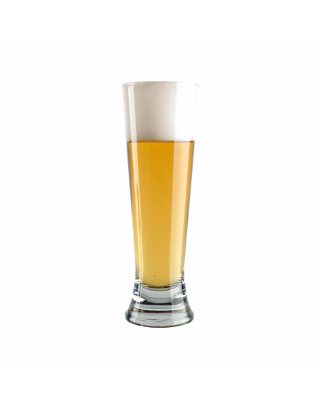 Brasser sa propre bière : Kit à bière BREWFERM Premium Pilsner - 056.083.9