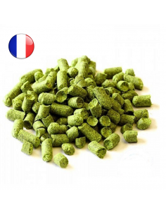 Houblon Nugget d'Alsace pour la bière