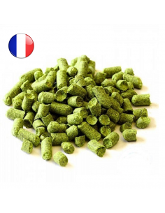 Brasser sa propre bière : Columbus (FR) 2022