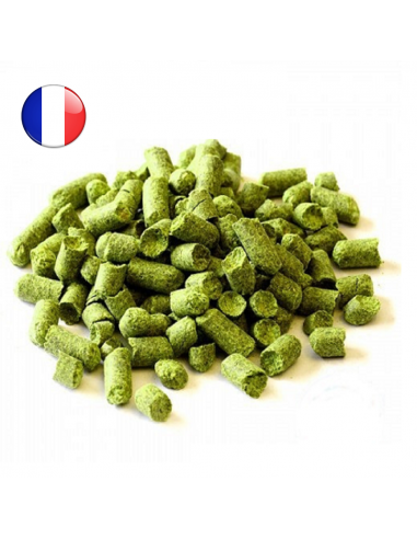 Brasser sa propre bière : Bouclier (FR) 2021