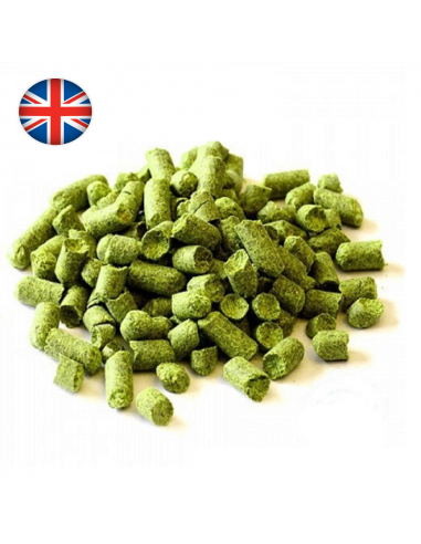 Brasser sa propre bière : Bramling Cross (UK) - BC-P90