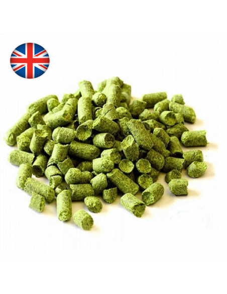 Brasser sa propre bière : East kent golding (EKG) (UK) - EKG-P90 Brasser sa propre bière : East kent golding (EKG) (UK) - EKG-P90