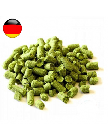 Brasser sa propre bière : Hallertau Hersbrucker (DE) - HERSBRU-P90