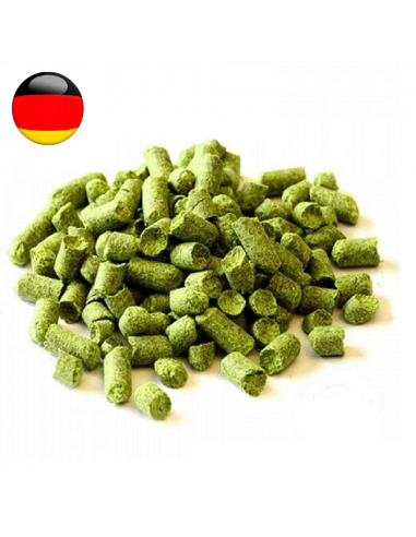 Brasser sa propre bière : Hallertau Hersbrucker (DE) - HERSBRU-P90
