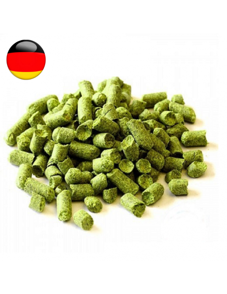 Brasser sa propre bière : Hallertau Hersbrucker (DE) - HERSBRU-P90