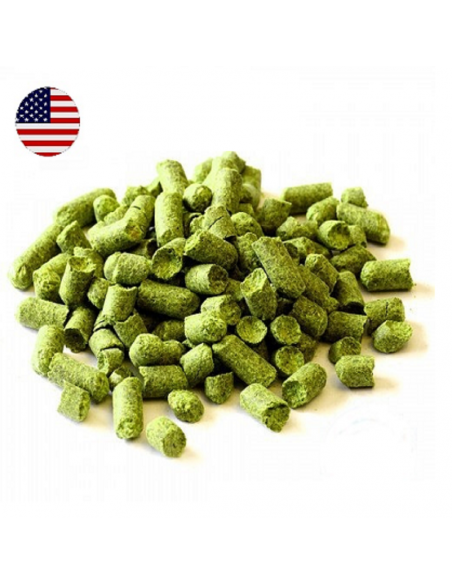 Brasser sa propre bière : Warrior (US) 2021 - WARRI-P90 Brasser sa propre bière : Warrior (US) 2021 - WARRI-P90