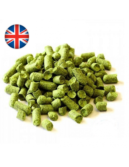 Brasser sa propre bière : Bullion (UK) - BULL-P90 Brasser sa propre bière : Bullion (UK) - BULL-P90