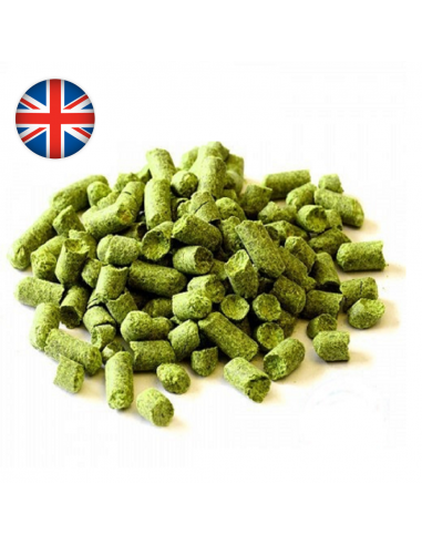 Brasser sa propre bière : Flyer (UK) - FLYER-P90 Brasser sa propre bière : Flyer (UK) - FLYER-P90