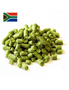 Brasser sa propre bière : African Queen (AFS) 2021 - AFRICA-P90