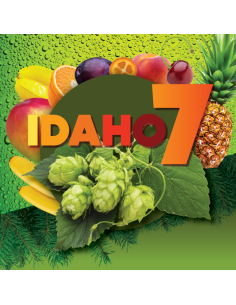 Houblon Idaho 7 (US) en pellets pour le brassage de la biÃ¨re