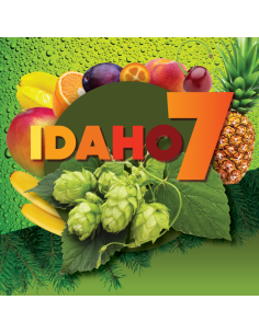 Brasser sa propre bière : Idaho7 (US) 2022