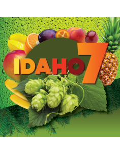 Brasser sa propre bière : Idaho7 (US) 2022