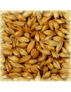 Brasser sa propre bière : Malt Cara Belge® 30-35 EBC - MCBELGAS