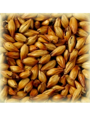 Brasser sa propre bière : Malt Cara Honey® 60-80 EBC - MCAMBRAS25