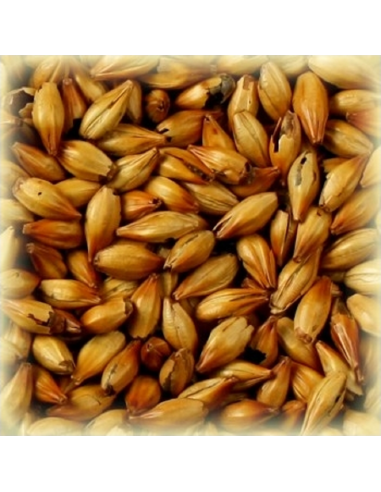 Brasser sa propre bière : Malt Cara Honey® 60-80 EBC - MCAMBRAS25