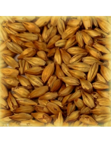 Brasser sa propre bière : Malt Cara Arôme® 80-100 EBC -