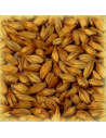 Brasser sa propre bière : Malt Cara Arôme® 80-100 EBC -