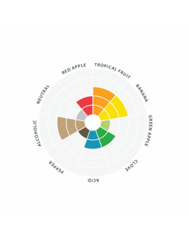 Brasser sa propre bière : Abbaye™ LalBrew LALLEMAND - 11gr - 050.614.7