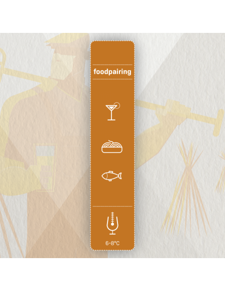 Brasser sa propre bière : Kit à bière BREWFERM Belgian Saison 15l - 056.071.4