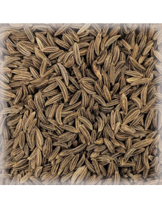 Brasser sa propre bière : Cumin (morceaux)