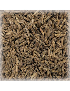 Brasser sa propre bière : Cumin (morceaux) - CUMIN
