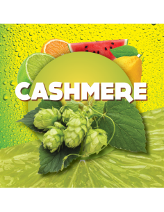 Brasser sa propre bière : Cashmere (US) 2021