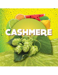 Brasser sa propre bière : Cashmere (US) 2021