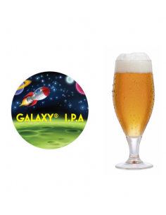 Brasser sa propre bière : Galaxy I.P.A - 20L - non concassé - GALAXY-IPA-20L