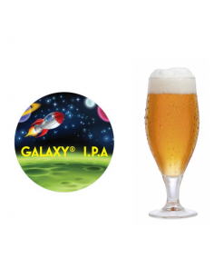 Brasser sa propre bière : Kit de malt GALAXY I.P.A pr 20L
