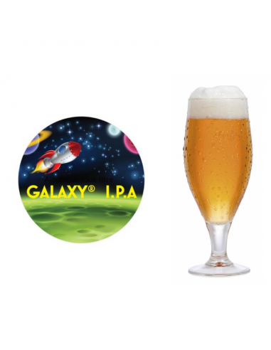 Brasser sa propre bière : Galaxy I.P.A - 20L