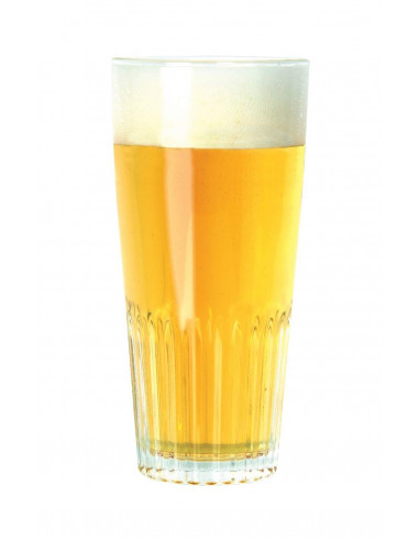 Brasser sa propre bière : Kit à bière BEWFERM Pilsner 20 l - 056.073.10 Brasser sa propre bière : Kit à bière BEWFERM Pilsner 20 l - 056.073.10