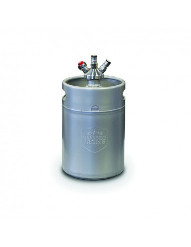 Brasser sa propre bière : Kit mini Keg 5L avec connexion Ball Lock à bille