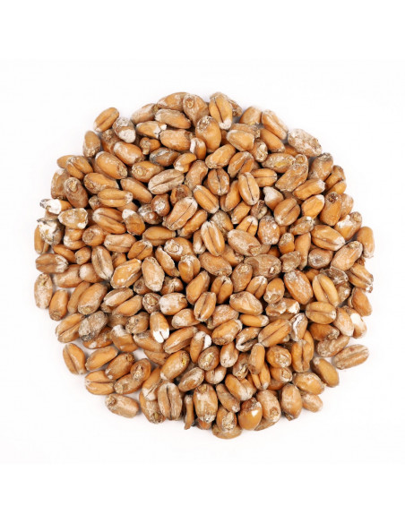 Brasser sa propre bière : Froment fumé® 4-12 EBC - MFS2VF Brasser sa propre bière : Froment fumé® 4-12 EBC - MFS2VF