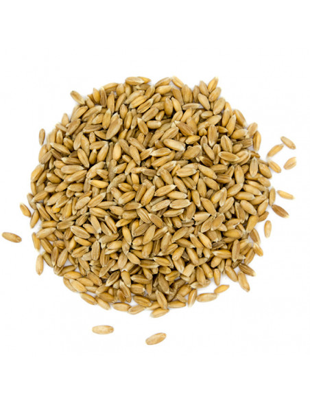 Brasser sa propre bière : Emmer malt® 2.5-5 EBC - MFS2VEM Brasser sa propre bière : Emmer malt® 2.5-5 EBC - MFS2VEM