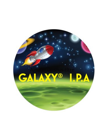 Brasser sa propre bière : Recharge GALAXY I.P.A 5L - GALAXY-IPA-5L