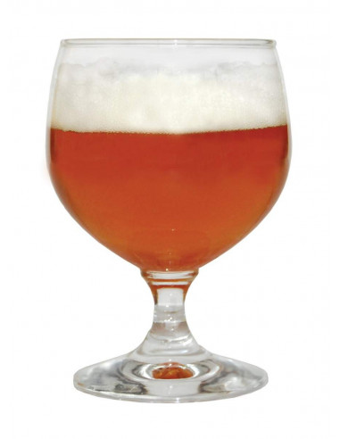 Brasser sa propre bière : Kit à bière BREWFERM English IPA 12 l - 056.075.5 Brasser sa propre bière : Kit à bière BREWFERM English IPA 12 l - 056.075.5
