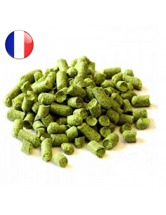 Brasser sa propre bière : Savinjski Golding (FR) 2021
