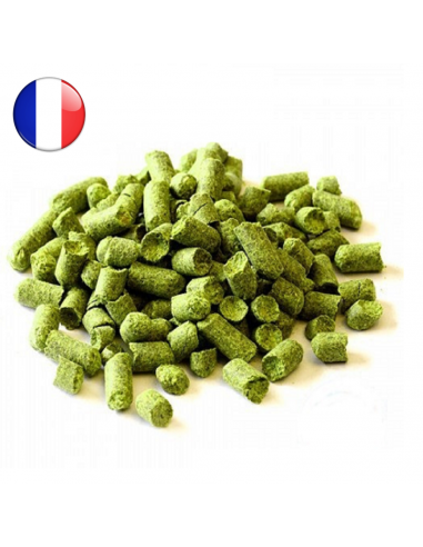 Brasser sa propre bière : Savinjski Golding (FR) - SAVIN-P90