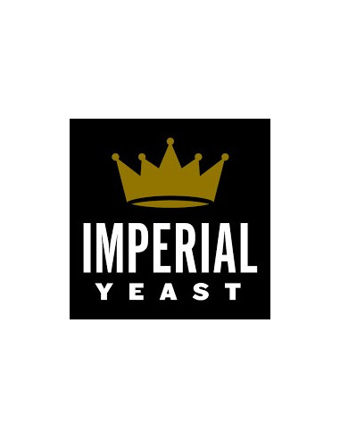 Brasser sa propre bière : Levure Darkness A10 - Imperial Yeast - DARKNESS-A10