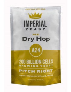 Brasser sa propre bière : Levure Dry Hop A24 - Imperial Yeast